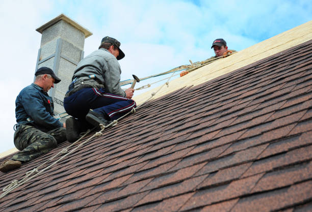 Quick and Trustworthy Emergency Roof Repair Services in Audubon Park, KY